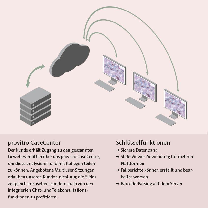 Grafik mit Text: Scannen, Management und Auswertung eines Gewebeschnittes