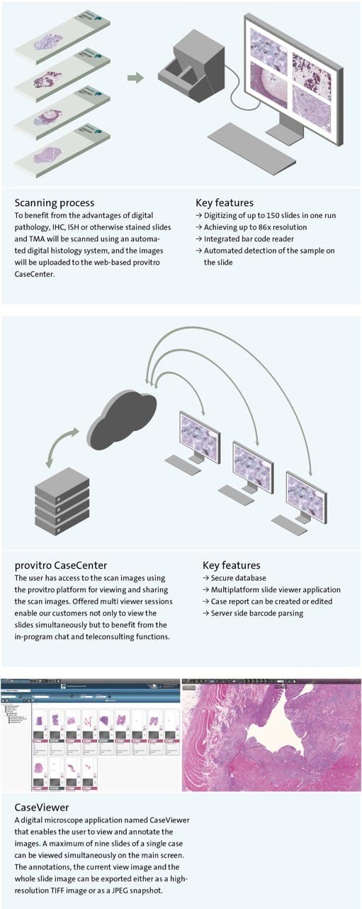 Digital Pathology Process Graphic